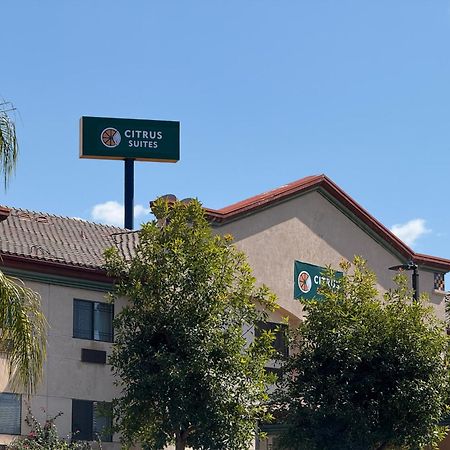 Citrus Suites Redlands Loma Linda Hotel Exteriör bild