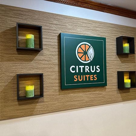 Citrus Suites Redlands Loma Linda Hotel Exteriör bild